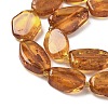 Natural Amber Beads Strands G-L095-C01-04-4