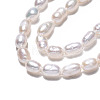 Natural Cultured Freshwater Pearl Beads Strands X1-PEAR-N012-03D-4