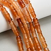 Natural Agate Beads Strands G-Z144-A02-01F-1