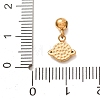 304 Stainless Steel Micro Pave Clear Cubic Zirconia Pendants CU-CBAB6EC-15G-01-3