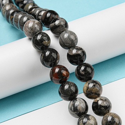 Natural Black Silver Leaf Jasper Beads Strands G-R494-A17-04-1