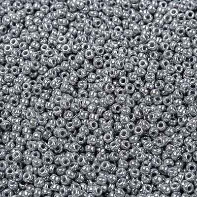 MIYUKI Round Rocailles Beads X-SEED-G008-RR0443-1