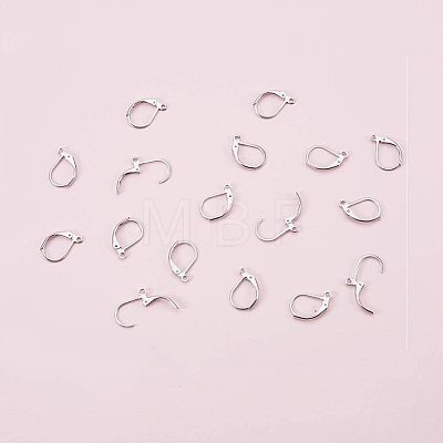 304 Stainless Steel Leverback Earring Findings STAS-PH0018-28P-1