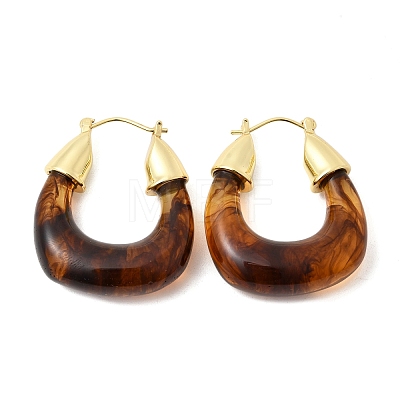 Brass Resin Hoop Earrings EJEW-P333-11D-G02-1