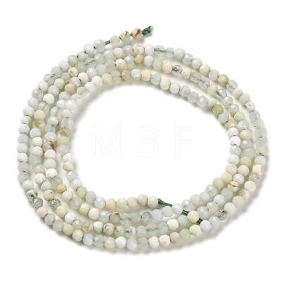 Natural Green Opal Beads Strands G-Z035-A02-01B-1