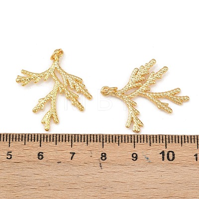 Brass Pendants KK-L255-01G-02-1