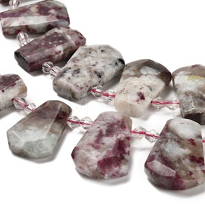 Natural Plum Blossom Tourmaline Beads Strands G-H078-A01-02-1