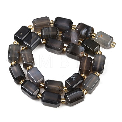 Natural Botswana Agate Beads Strands G-P611-A02-02-1