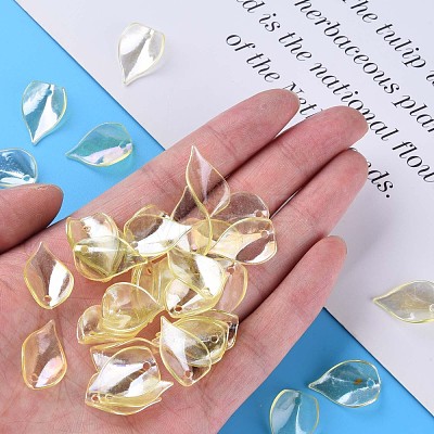 Transparent Acrylic Beads MACR-S373-103-C-1