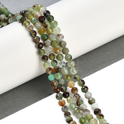 Natural Serpentine Beads Strands G-B107-A05-06-1