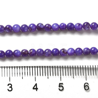 Natural Freshwater Shell Beads Strands SHEL-H003-03B-1
