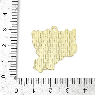 Independence Day Alloy Enamel Pendants ENAM-V001-04A-G-1