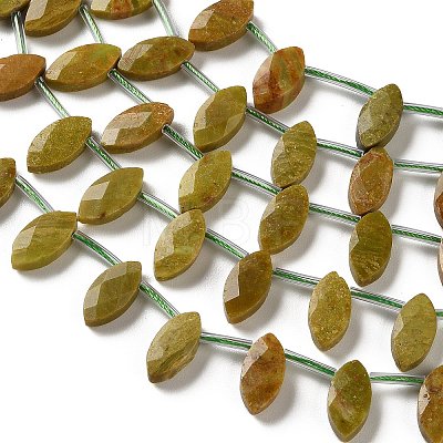 Natural Green Opal Beads Strands G-P607-A08-01-1