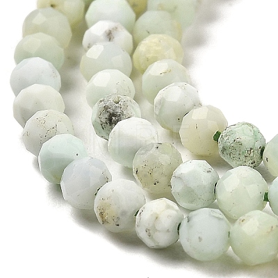 Natural Green Opal Beads Strands G-Z035-A02-02A-1
