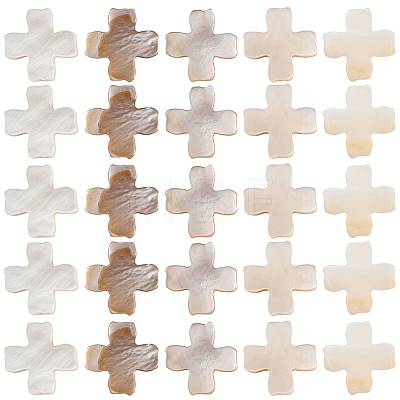 60Pcs Natural Freshwater Shell Beads SSHEL-SC0001-41-1