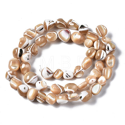 Natural Trochid Shell/Trochus Shell Beads Strands SSHEL-S266-015B-1
