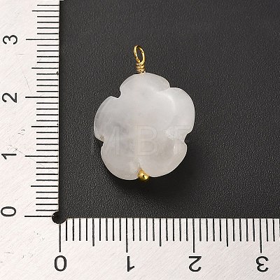 Natural Quartz Crystal Pendants G-C290-02E-1