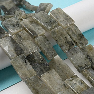 Natural Labradorite Beads Strands G-M420-G05-01-1