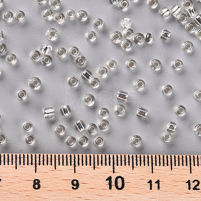 (Repacking Service Available) 8/0  Glass Seed Beads SEED-C014-3mm-21-1