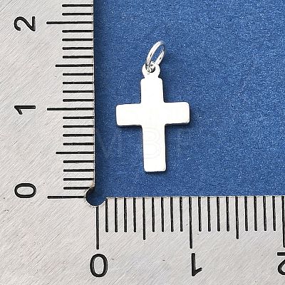 925 Sterling Silver Charms STER-B007-01S-01-1