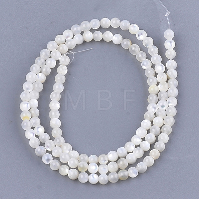 Natural White Shell Beads X-SHEL-T012-49B-1
