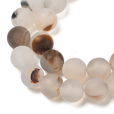 Natural Dendritic Agate Beads Strands G-A248-A04-02-1