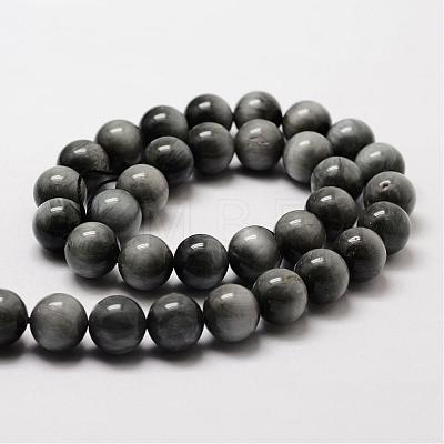 Natural Hawk's Eye Round Beads Strands G-O143-01-12mm-1