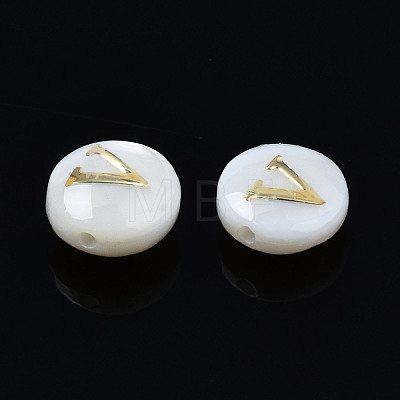 Natural Freshwater Shell Beads SHEL-S278-036V-1