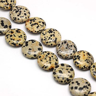 Natural Flat Round Dalmatian Jasper Beads Strands G-L246-11-1