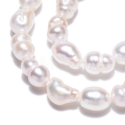 Natural Cultured Freshwater Pearl Beads Strands PEAR-N012-03H-1