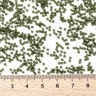 MIYUKI Round Rocailles Beads X-SEED-G009-RR0501-1