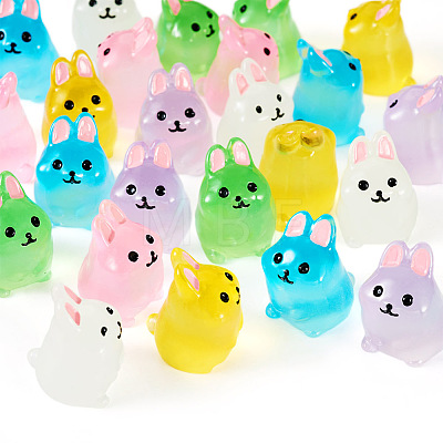  24Pcs 6 Colors Rabbit Luminous Resin Display Decorations DJEW-TA0001-07-1