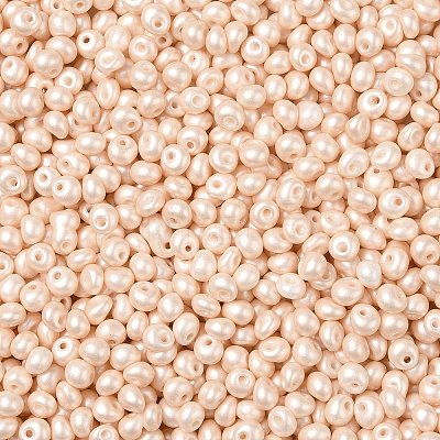 6/0 Glass Seed Beads SEED-L011-08A-24-1