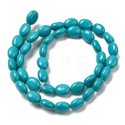 Natural Howlite Beads Strands G-B049-D01-01A-1