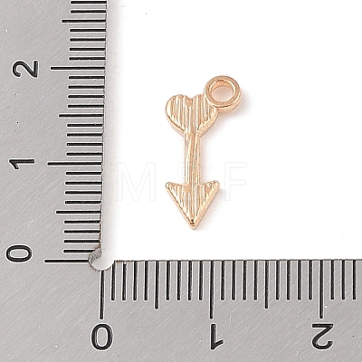 Alloy Enamel Pendants ENAM-Z010-19B-KCG-1