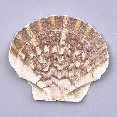 Natural Scallop Shell Beads SSHEL-S258-46-1