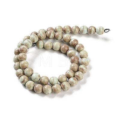 Natural Rainbow Alashan Agate Beads Strands G-NH0022-A08-02-1