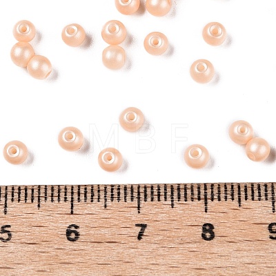 Glass Seed Beads SEED-T007-01A-1