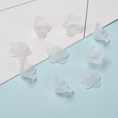 Transparent Acrylic Beads X-PL560-1-1