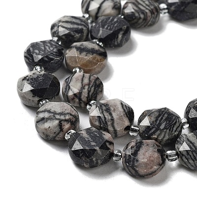 Natural Black Silk Stone/Netstone Beads Strands G-NH0004-037-1