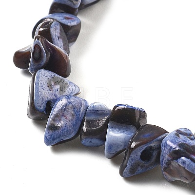 Dyed Natural Trochus Shell Beads Strands BSHE-Z006-01C-1