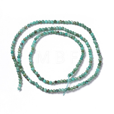 Natural Howlite Beads Strands X-G-F596-09-3mm-1