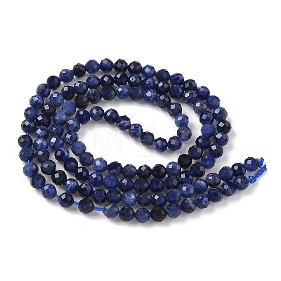 Natural Sodalite Beads Strands X-G-L622-C04-3mm-1