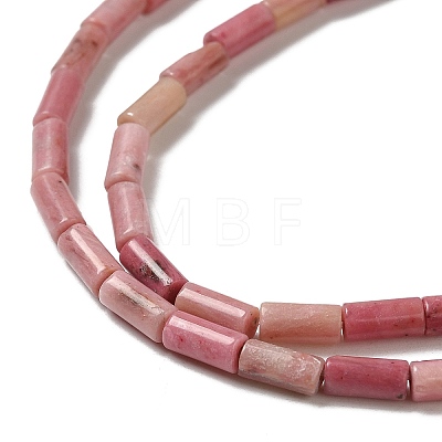Natural Rhodonite Beads Strands G-E612-B03-A-1