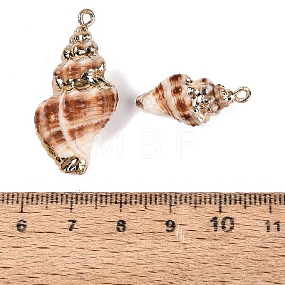 Electroplate Natural Spiral Shell Pendants SSHEL-Q100-39G-1