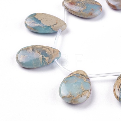 Natural Aqua Terra Jasper Beads Strands G-F612-06-1