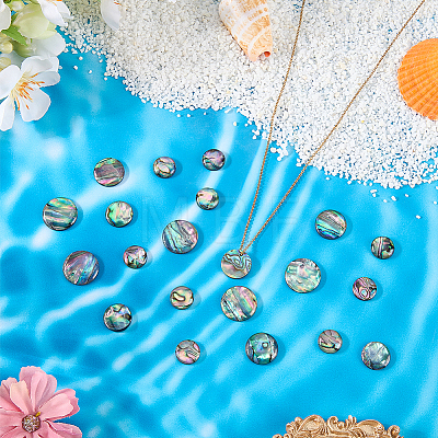 16Pcs 4 Styles Natural Paua Shell Cabochons SHEL-WR0001-13-1