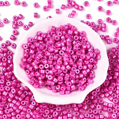 Baking Paint Pearlized Glass Seed Beads SEED-T008-03N-1