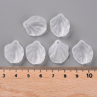 Transparent Frosted Acrylic Pendants MACR-S371-01A-701-1