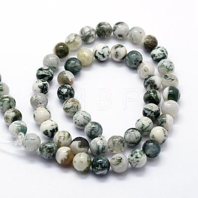 Natural Tree Agate Beads Strands G-I199-03-8mm-1